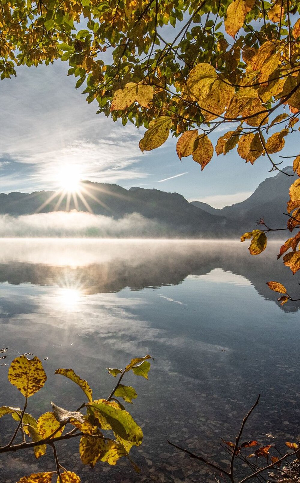 Herbstliche Blätter rahmen den Forggensee in Rieden, die Sonne scheint über nebelverhüllten Bergen, Spiegelung im ruhigen Wasser sichtbar.